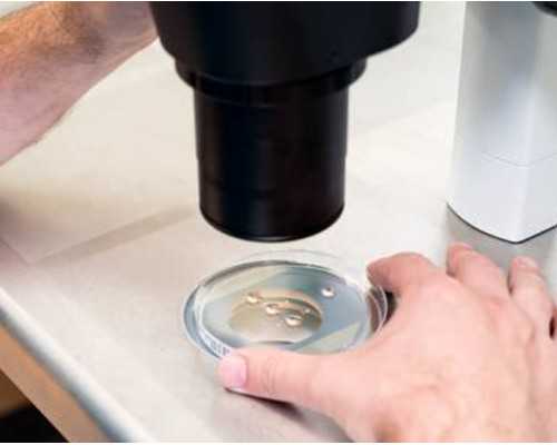 「广州私人试管」广州哪家私立医院做试管好一点