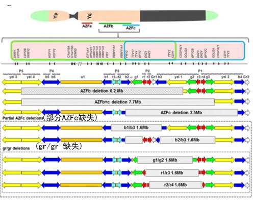 下体流出淡红色分泌物