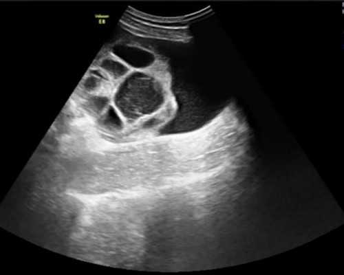 广州供卵公司名单,北京亲子鉴定中心查询流程及费用说明-深圳有供卵的私立医