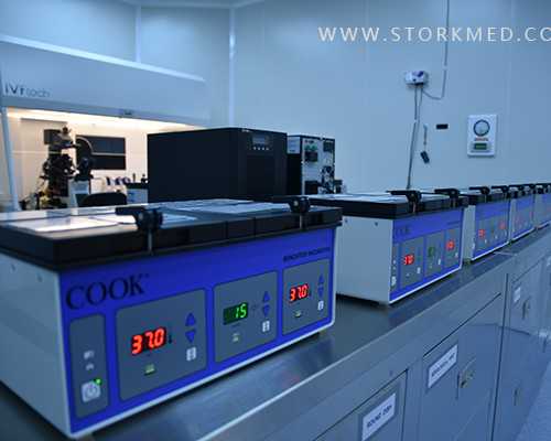 弱精做试管成功率高吗&代孕几多钱,打新冠疫苗当月怀孕会导致胎儿畸形吗？