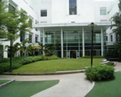 老公弱精症15%试管成功率&供卵试管婴儿合法吗,男性不孕不育要做哪些检查项目