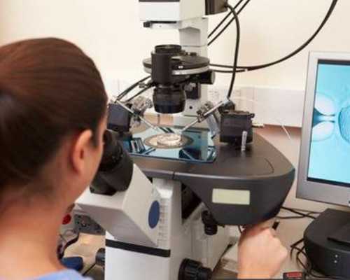 广州能代生的公司,【北京供卵的医院、泰国供卵医院、广州供卵试管成功率】