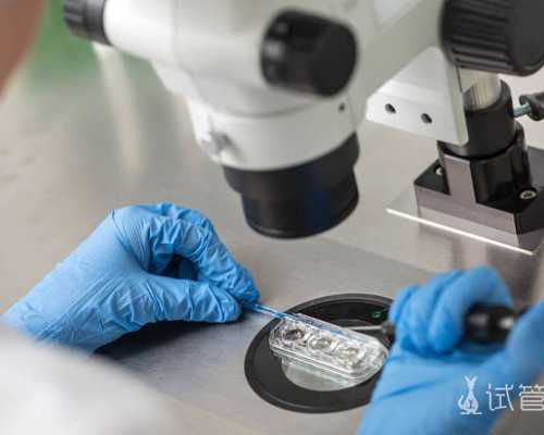 泰国试管婴儿流程中有哪些饮食禁忌？