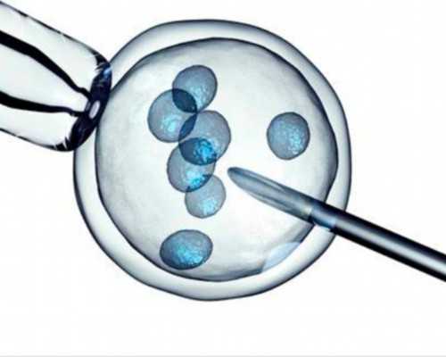 广州借卵试管公司，广州借卵