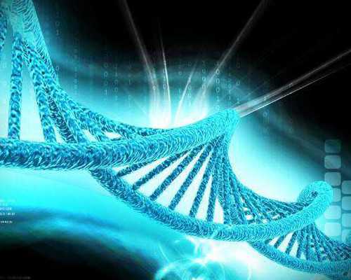 广州金贝供卵医院官网,广州有多少家供卵机构_哪里有代生儿子