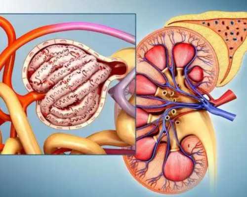 广东有试管婴儿吗？是不是很贵啊！