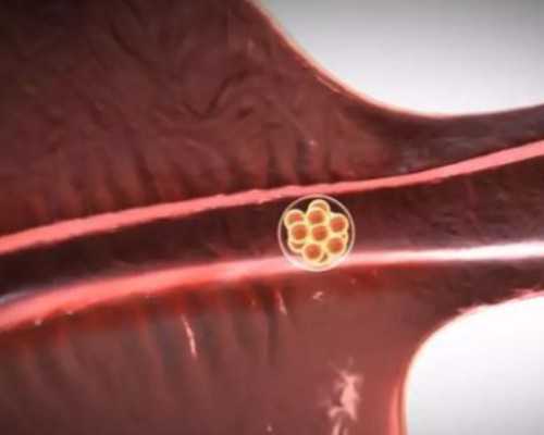 怀孕多久做b超能看出来胎心搏动,供卵医院