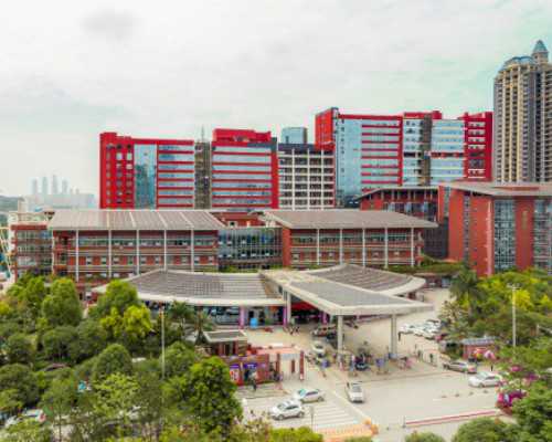 广州怎么代生宝宝,试管婴儿都是双胞胎吗？试管能做双胞胎吗？-建档时丙肝检