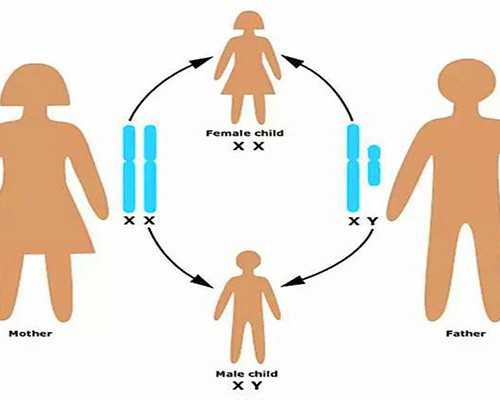 广州供卵代生小孩大学生 广州三代试管的优势: ‘孕38天1.11.00.4孕囊男女’