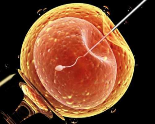 广州供卵三代先性别需要满足这些条件：,广州供卵试管要求_秘战