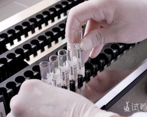 b超单怎么看怀孕多久,代怀生儿子