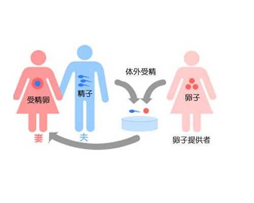 试管婴儿胚胎移植后如何黄体补充保胎？,靠谱代怀