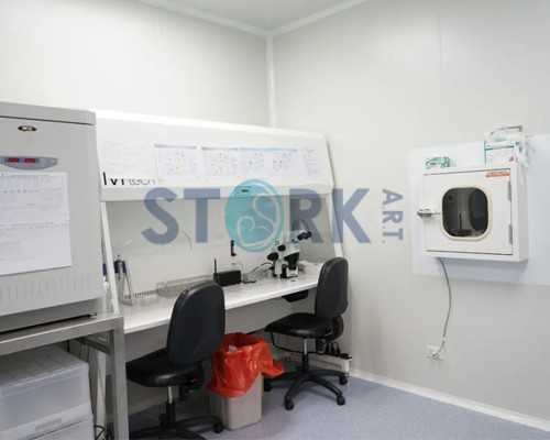 第五版精子运动参数，who第五版精子标准解读