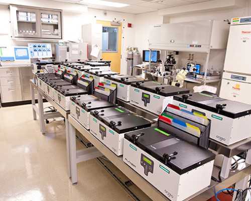 广州金贝供卵医院简介,广州做供卵试管被骗的全过程_胚胎移植