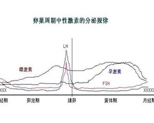 广州代怀产子公司机构 白云机场到广州精子库 ‘32周双顶径看男女’