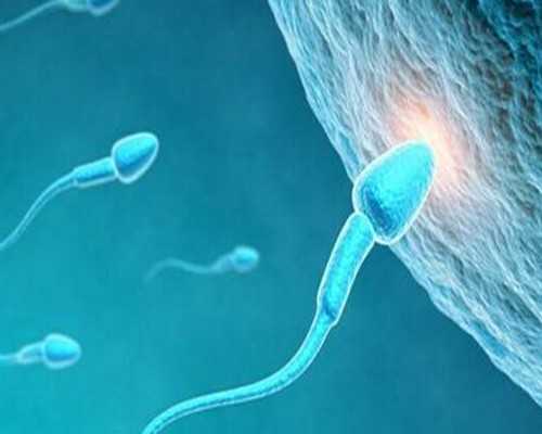 广州代孕85万包性别|广西公立医院供卵试管费用详情表2026合法借卵试管生子机