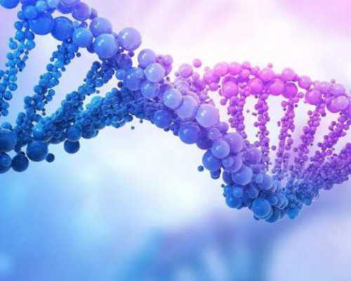 广州助孕借卵机构 在广州做三代试管成功率多高？广州三代试管费用明细 ‘四