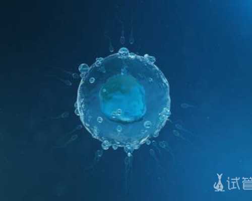 广州哪些医院提供第三代试管移植服务？,广州试管婴儿医院推荐