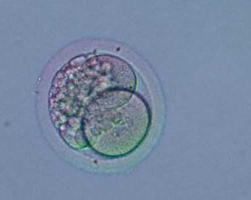 生化妊娠验孕棒测还是