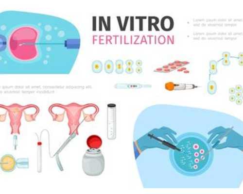 24岁卵巢早衰能恢复吗&供卵试管哪家最好,备孕多久不孕可以选择做试管婴儿呢