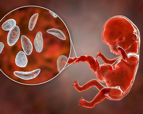 供卵生的孩子家庭会幸福吗&那里有代生孩子吗,高龄女性备孕做第几代试管婴儿