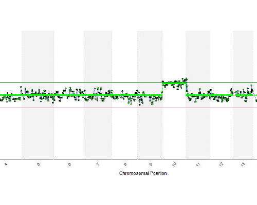 广州代怀宝宝包成功,广州供卵多少,2026广州供卵大概多少钱