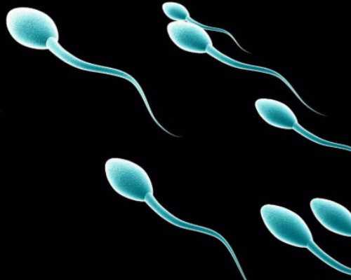 广州供卵试管婴儿医院,广州供卵首来十月幸孕助孕_借卵中心