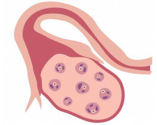 广州供卵怀孕公司,2026珠海试管婴儿医院大全，附试管助孕费用及成功率一览