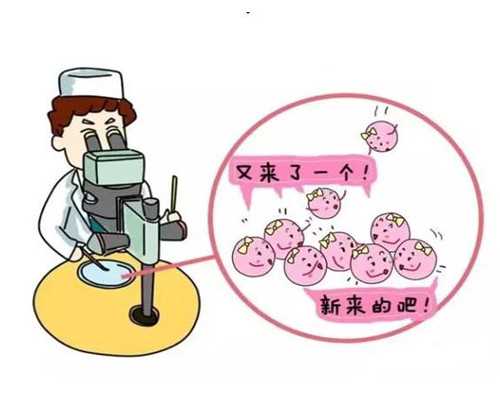 特纳综合症做供卵试管的成功率有多少——卵源是关键