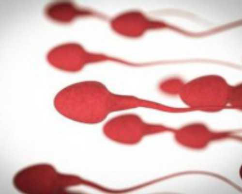 供卵需去传承生殖可靠&供卵试管医院,备孕检查项目及费用明细