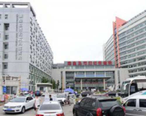 广州金贝供卵医院官网,广州卵子库供卵费用清单?_狼人类单机游戏