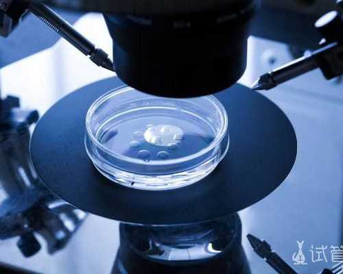 (广州三代试管)广州想要生个儿子能做试管助孕吗