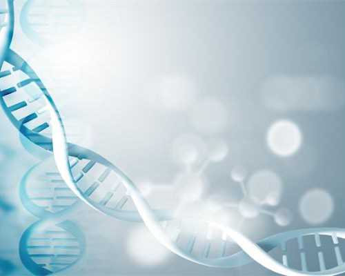 广州卵子库供卵费用清单?,广州供卵试管要求_单机特种部队4游戏