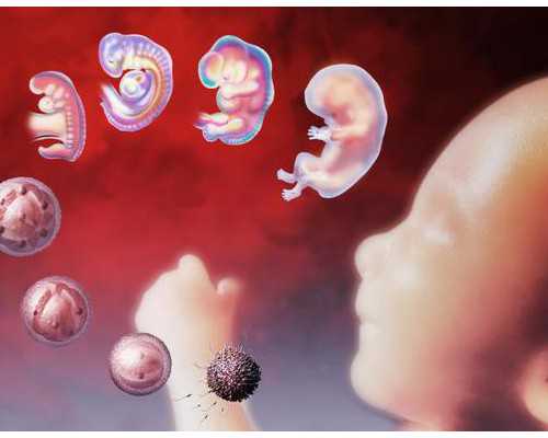 广州供卵被骗后尝试的解决办法,广州地下供卵陷阱_代生医生咨询