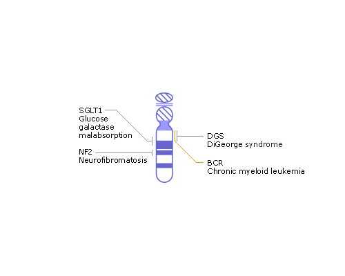 广州正规的代怀,亲们，一般移植完在床上躺几天，试管婴儿，其他-生男生女的