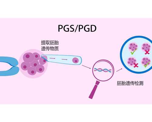 广州地下供卵骗局有哪些,广州地下供卵陷阱-代孕找哪家医院