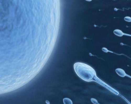 卵巢早衰一般会怀孕吗&试管助孕,女性在备孕前需要做的检查项目有哪些？我明