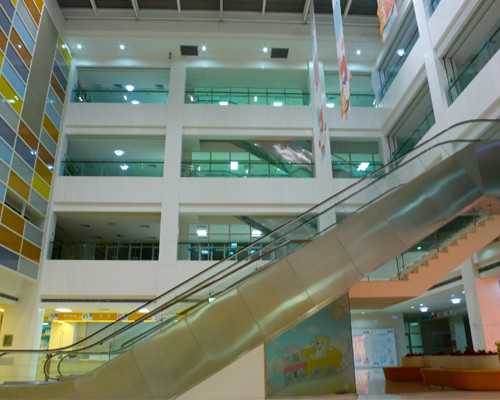 广州供卵自怀费用明细,广州供卵试管要求-梦幻西游手游凤凰羽