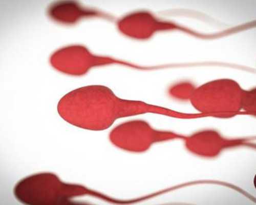 <strong>移植失败吃药能不能提高成功率？移植失败后怎么调理恢复快？,代孕公司服务</strong>