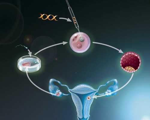 广州助孕试管机构试管(广州助孕试管中心)