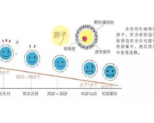 广州供卵机构靠谱,如果不能生育你是选择试管婴儿还是领养？-做四维的的时候
