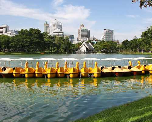 广州代孕一个大概多少|哈尔滨市一医院试管医生哪个比较好？助孕成功率高？