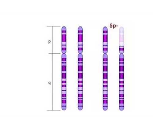 广州找代孕公司靠谱的,“美国试管婴儿专家中国行活动”广州站圆满落幕_上海