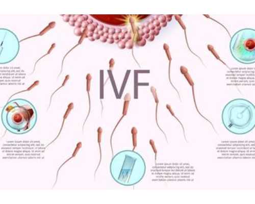 广州有找代生的吗,北京协和医院供卵试管单周期花费，附费用明细-上海供卵试
