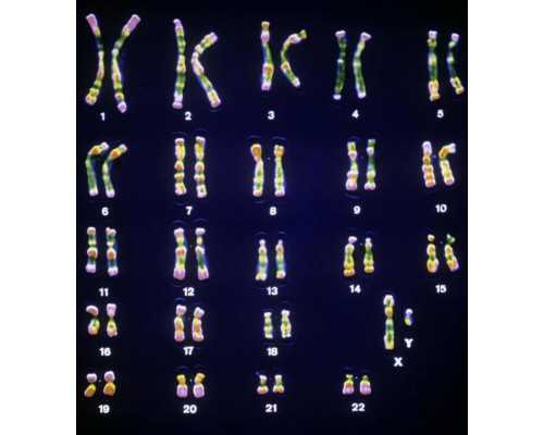 怀孕腰酸怎么缓解?七大方法，腰真的不酸了,代生生男孩