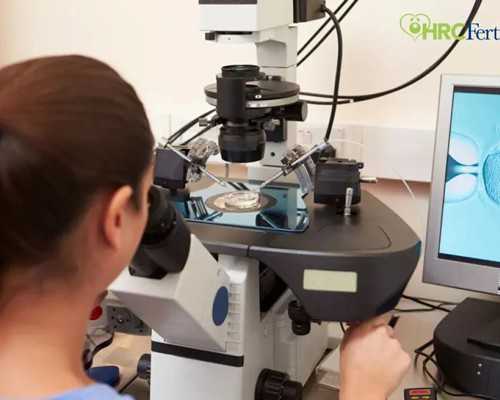 广州有提供供卵服务的医院,广州金贝供卵医院简介-借卵医院