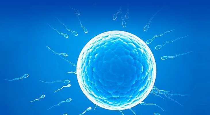 内蒙古借卵生下孩子是自己的吗_泰国试管如何提取囊胚细胞进行基因检测，安