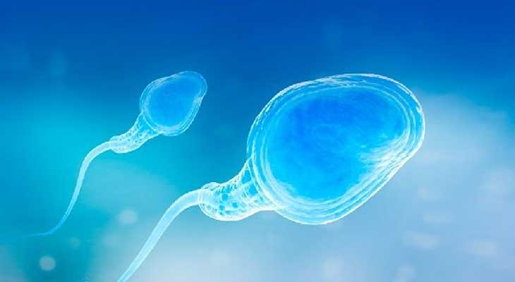 内蒙古借卵生下孩子是自己的吗_泰国试管如何提取囊胚细胞进行基因检测，安